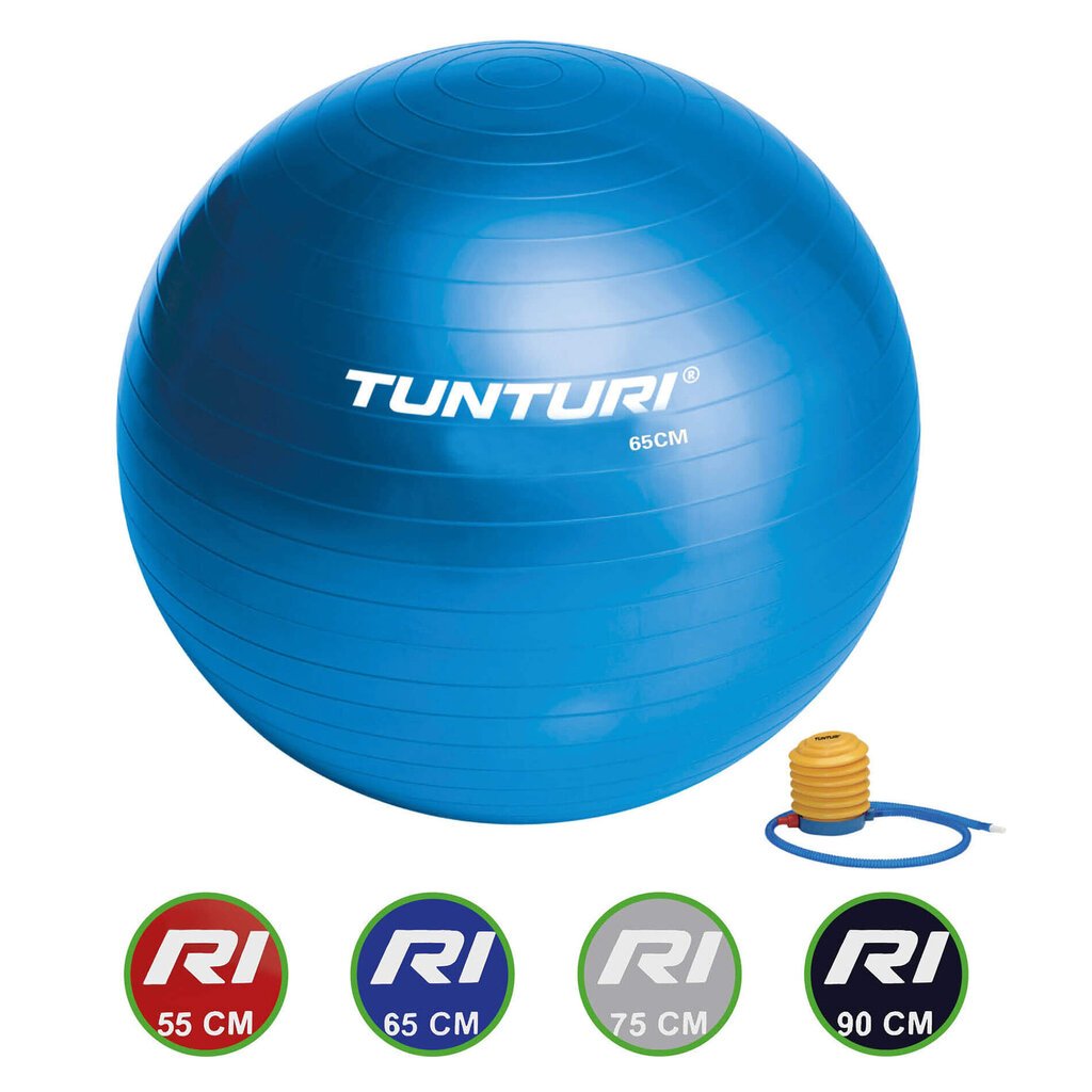 Gimnastikos kamuolys su pompa Tunturi 65 cm, mėlynas цена и информация | Gimnastikos kamuoliai | pigu.lt