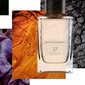 Kvapusis vanduo Banana Republic 17 Oud Mosaic EDP moterims/vyrams 75 ml kaina ir informacija | Kvepalai moterims | pigu.lt