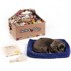 Žaislinis šuniukas Perfect Petzzz, rudos spalvos kaina ir informacija | Minkšti (pliušiniai) žaislai | pigu.lt