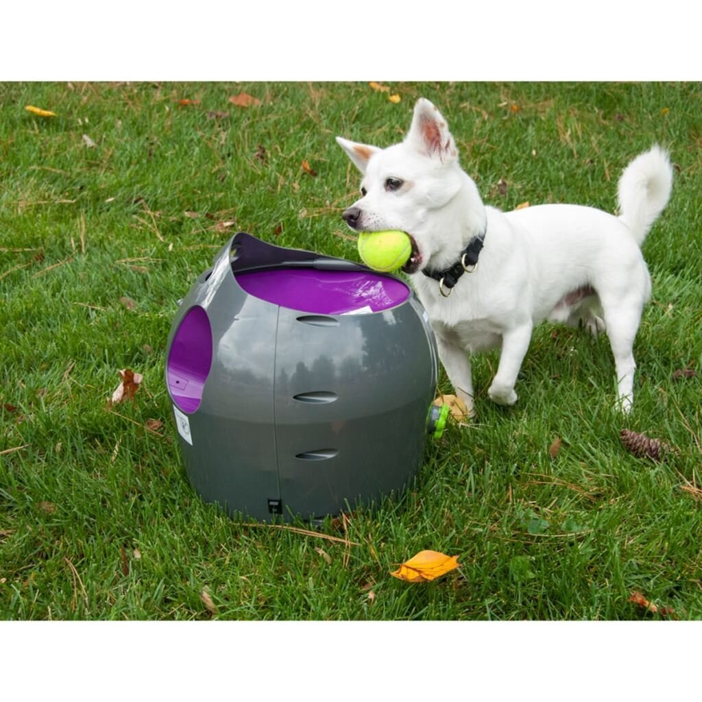 PetSafe automatinis kamuolių paleidėjas, 9m kaina ir informacija | Žaislai šunims | pigu.lt
