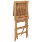 Sodo kėdės, 2 vnt., 55x60x89 cm kaina ir informacija | Lauko kėdės, foteliai, pufai | pigu.lt