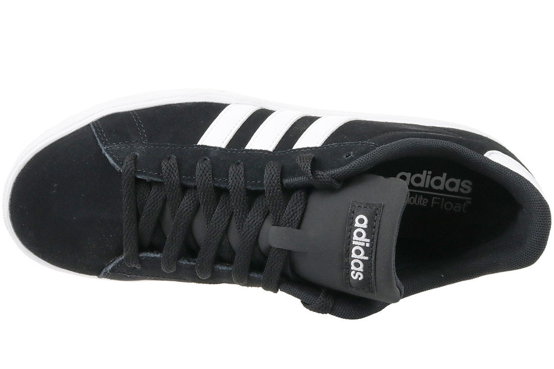 Kedai vyrams Adidas Daily 2.0 M DB0273 (55879) kaina ir informacija | Kedai vyrams | pigu.lt