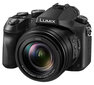 Panasonic DMC-FZ2000EP kaina ir informacija | Skaitmeniniai fotoaparatai | pigu.lt