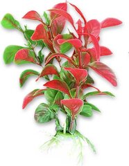 Augalų lizdinė plokštelė 10cm 1b03 Happet kaina ir informacija | Akvariumo augalai, dekoracijos | pigu.lt