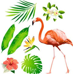 Interjero lipdukas Flamingas kaina ir informacija | Interjero lipdukai | pigu.lt