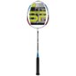 Badmintono rinkinys Spokey Fit One II, mėlynas kaina ir informacija | Badmintonas | pigu.lt