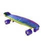 Riedlentė Nils Extreme Pennyboard PNB01 Rainbow, įvairių spalvų kaina ir informacija | Riedlentės | pigu.lt