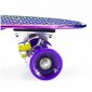 Riedlentė Nils Extreme Pennyboard PNB01 Rainbow, įvairių spalvų kaina ir informacija | Riedlentės | pigu.lt