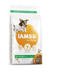 Iams ProActive Health для взрослых собак мелких и средних пород с курицей, 3 кг цена и информация |  Сухой корм для собак | pigu.lt