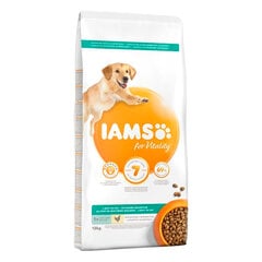 Iams ProActive Health для взрослых собак после стерилизации, склонных к ожирению, с курицей, 3 кг цена и информация |  Сухой корм для собак | pigu.lt