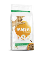 Iams ProActive Health suaugusiems didelių veislių šunims su vištiena, 3 kg цена и информация |  Сухой корм для собак | pigu.lt