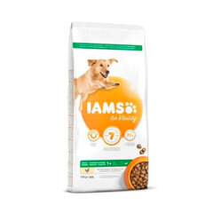 Iams ProActive Health suaugusiems didelių veislių šunims su vištiena, 3 kg цена и информация |  Сухой корм для собак | pigu.lt