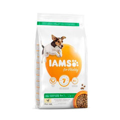 Iams ProActive Health для взрослых собак мелких и средних пород с курицей, 12 кг цена и информация |  Сухой корм для собак | pigu.lt