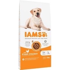 Iams for Vitality Adult suaugusiems didelių veislių šunims su vištiena, 12 kg цена и информация | Сухой корм для собак | pigu.lt