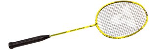 Badmintono raketė Talbot torro Isoforce 651.8 kaina ir informacija | Badmintonas | pigu.lt