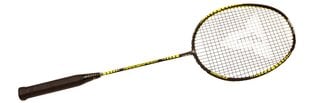 Badmintono raketė Talbot torro Arrowspeed 199.8 kaina ir informacija | TALBOT TORRO Sportas, laisvalaikis, turizmas | pigu.lt