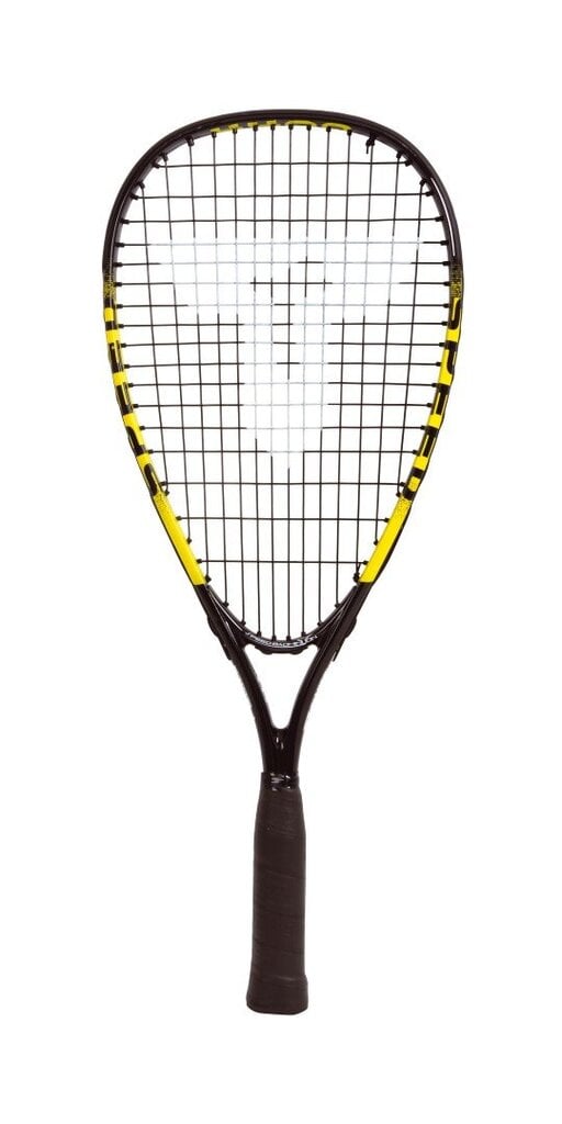 Greitojo badmintono rinkinys Talbot Torro Speed 4400 цена и информация | Badmintonas | pigu.lt