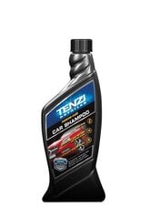 Шампунь для автомобиля Tenzi Car Shampoo цена и информация | Автохимия | pigu.lt