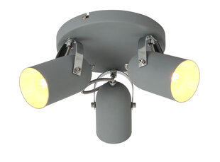 Candellux потолочный светильник Gray 3 цена и информация | Потолочные светильники | pigu.lt