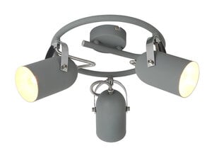 Потолочный светильник Candellux Gray 3, серый цена и информация | Потолочные светильники | pigu.lt