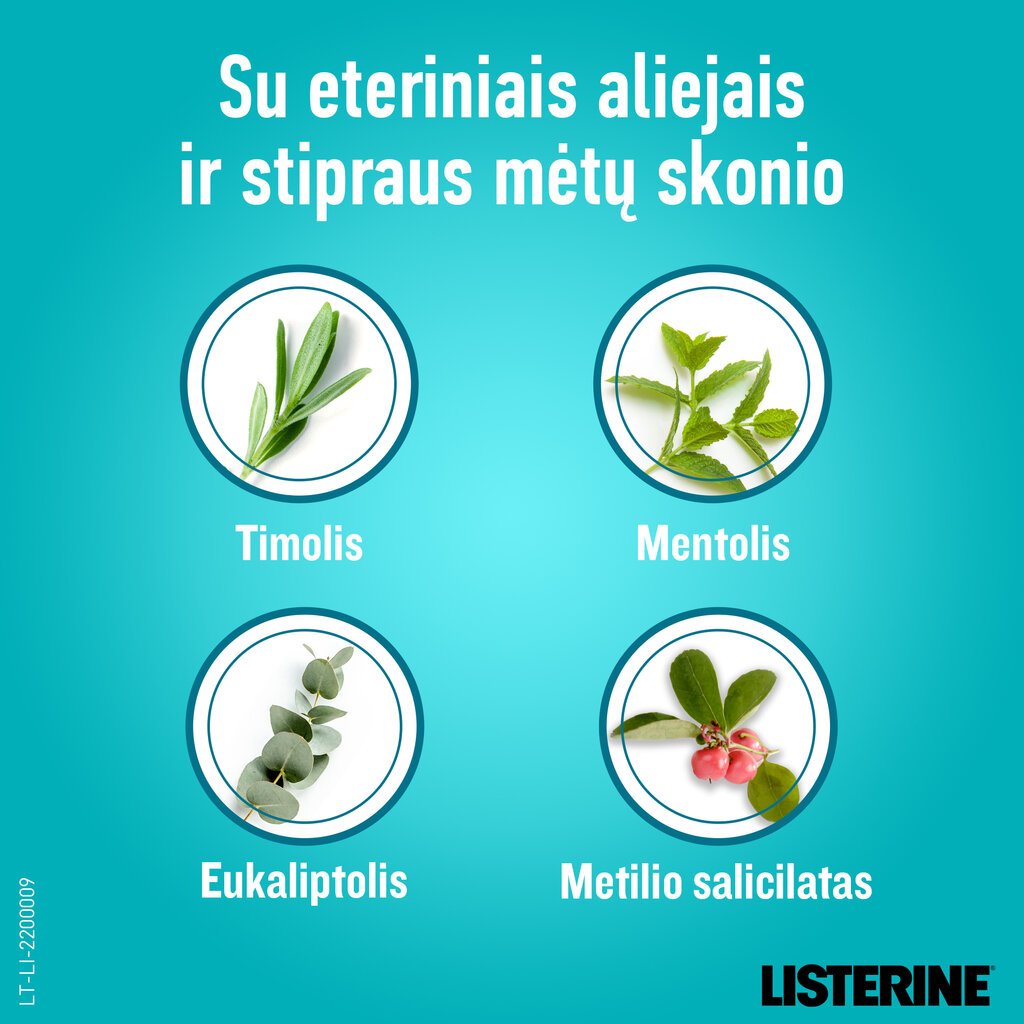 Burnos skalavimo skystis Listerine Cool Mint 500 ml kaina ir informacija | Dantų šepetėliai, pastos | pigu.lt