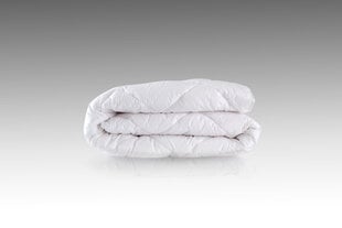 Wendre одеяло Antibact, 200 x 220 см цена и информация | Одеяла | pigu.lt