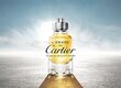 Tualetinis vanduo Cartier L'Envol EDT vyrams 50 ml цена и информация | Kvepalai vyrams | pigu.lt