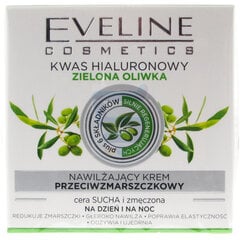 Drėkinamasis kremas su alyvuogių lapų ekstraktu Eveline Nature Line 3D Green Olive 50 ml kaina ir informacija | Veido kremai | pigu.lt