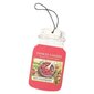 Automobilinis oro gaiviklis Yankee Candle Car Jar Red Raspberry kaina ir informacija | Salono oro gaivikliai | pigu.lt