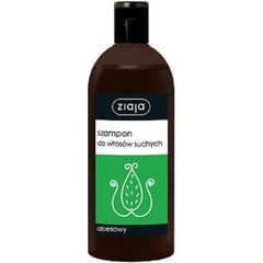 Šampūnas sausiems plaukams Ziaja Aloe 500 ml kaina ir informacija | Šampūnai | pigu.lt