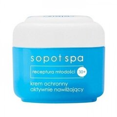 Drėkinamasis apsauginis veido kremas Ziaja Sopot Spa 30+ 50 ml цена и информация | Кремы для лица | pigu.lt