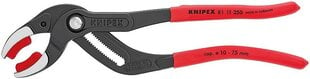 Santechninės replės Knipex 250mm ,8111250 kaina ir informacija | Mechaniniai įrankiai | pigu.lt