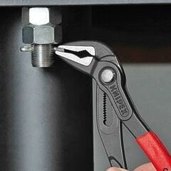 Клешни Knipex, 250 мм цена и информация | Механические инструменты | pigu.lt