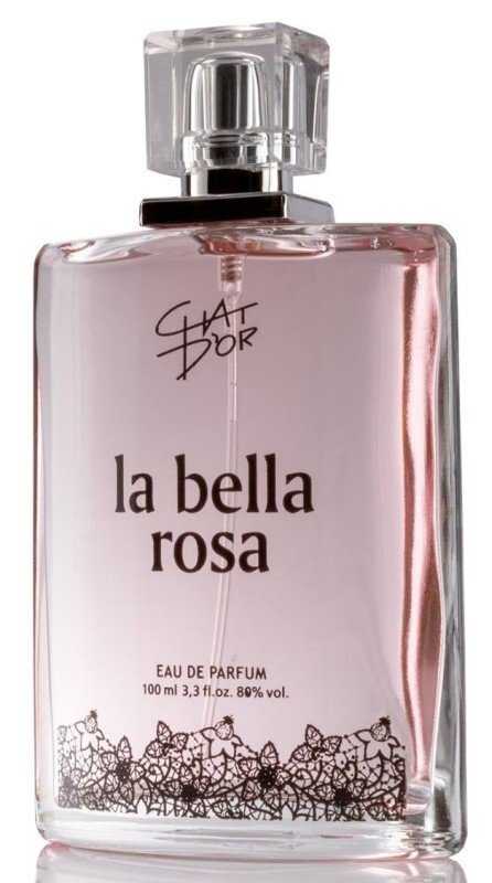 Kvapusis vanduo Chat D'or La Bella Rosa EDP moterims 100 ml цена и информация | Kvepalai moterims | pigu.lt