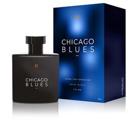 Tualetinis vanduo Vittorio Bellucci Chicago Blues EDT vyrams 100 ml цена и информация | Мужские духи | pigu.lt