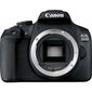 Canon EOS 2000D Body цена и информация | Skaitmeniniai fotoaparatai | pigu.lt