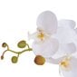 Dirbtinė orchidėja su vazonu, 75 cm, balta цена и информация | Dirbtinės gėlės | pigu.lt