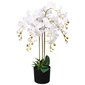 Dirbtinė orchidėja su vazonu, 75 cm, balta kaina ir informacija | Dirbtinės gėlės | pigu.lt
