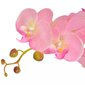 Dirbtinė orchidėja su vazonu, 75 cm, rožinė kaina ir informacija | Dirbtinės gėlės | pigu.lt