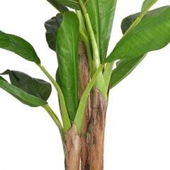 Искусственное банановое дерево, 175 см цена и информация | Искусственные цветы | pigu.lt