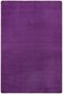 Hanse Home kilimas Fancy Purple, 160x240 cm     цена и информация | Kilimai | pigu.lt