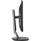 Philips 241B7QUPBEB/00 kaina ir informacija | Monitoriai | pigu.lt