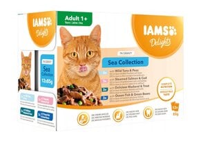 Iams Cat Delights Adult All Breeds Sea In Jelly Pouch, 12x85 g kaina ir informacija | Konservai katėms | pigu.lt