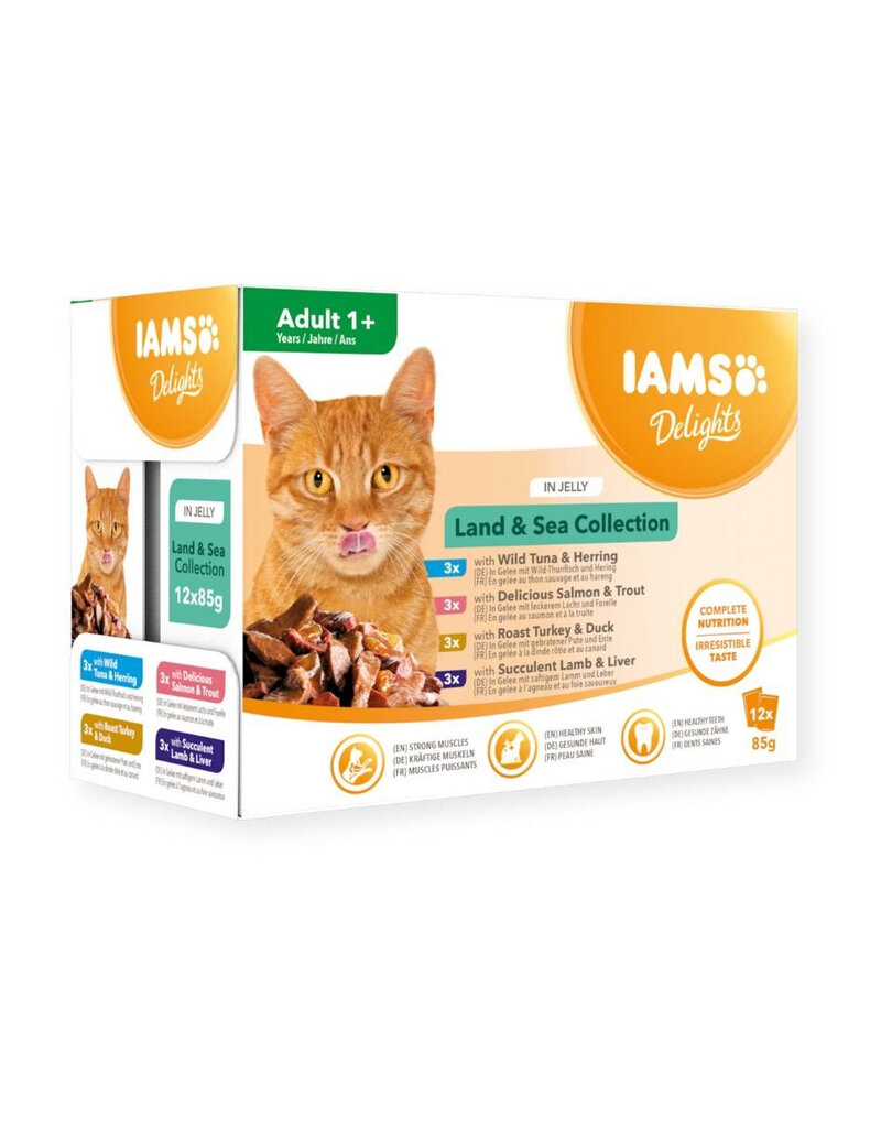 IAMS Cat Delights konservai su paukštiena, ėriena ir žuvimi, 12x85 g kaina ir informacija | Konservai katėms | pigu.lt