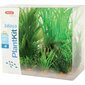 Dekoratyvinis augalas Zolux 6 d. kaina ir informacija | Akvariumo augalai, dekoracijos | pigu.lt