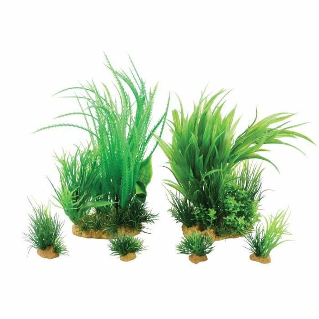 Dekoratyvinis augalas Zolux 6 d. kaina ir informacija | Akvariumo augalai, dekoracijos | pigu.lt