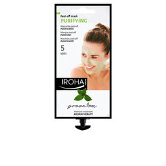 Очищающая маска для лица Iroha Relax, с зеленым чаем и листьями гинкго, 25 мл цена и информация | Маски для лица, патчи для глаз | pigu.lt