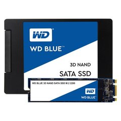 Išorinis kietasis diskas Western Digital WDS500G2B0A kaina ir informacija | Išoriniai kietieji diskai (SSD, HDD) | pigu.lt