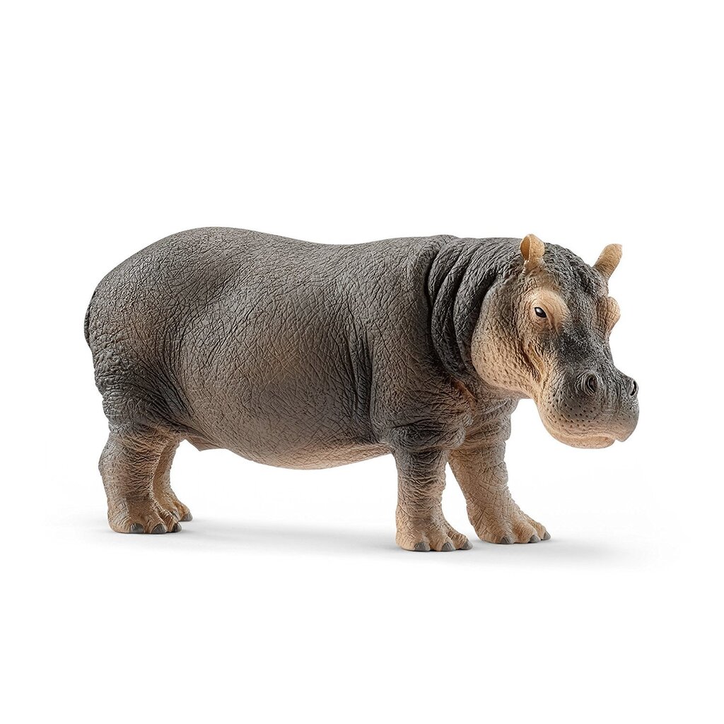 Figūrėlė Hipopotamas Schleich kaina ir informacija | Žaislai berniukams | pigu.lt