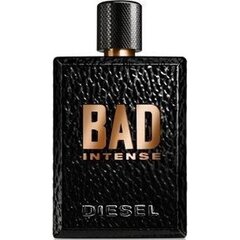 Diesel Bad Intense EDP для мужчин 75 мл цена и информация | Diesel Духи, косметика | pigu.lt